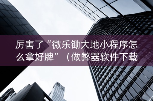 厉害了“微乐锄大地小程序怎么拿好牌”（做弊器软件下载)