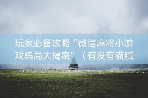 玩家必备攻略“微信麻将小游戏骗局大揭密”（有没有猫腻)