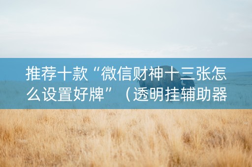 推荐十款“微信财神十三张怎么设置好牌”（透明挂辅助器)