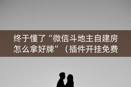 终于懂了“微信斗地主自建房怎么拿好牌”（插件开挂免费AI)