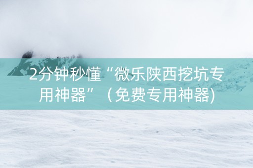 2分钟秒懂“微乐陕西挖坑专用神器”（免费专用神器)