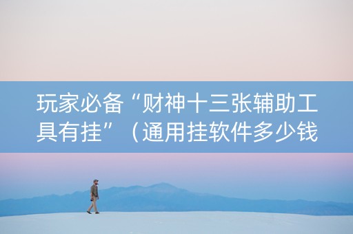 玩家必备“财神十三张辅助工具有挂”（通用挂软件多少钱)