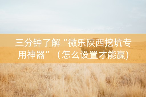 三分钟了解“微乐陕西挖坑专用神器”（怎么设置才能赢)