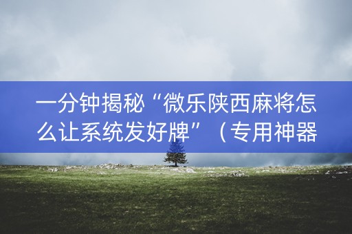 一分钟揭秘“微乐陕西麻将怎么让系统发好牌”（专用神器)