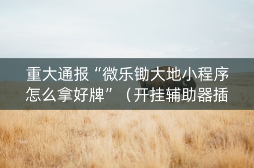 重大通报“微乐锄大地小程序怎么拿好牌”（开挂辅助器插件)