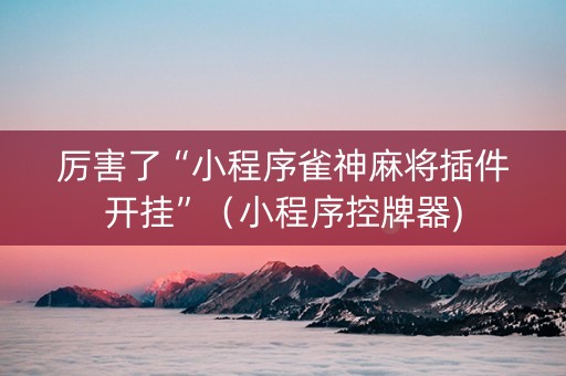 厉害了“小程序雀神麻将插件开挂”（小程序控牌器)