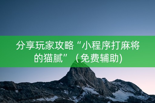 分享玩家攻略“小程序打麻将的猫腻”（免费辅助)