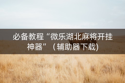 必备教程“微乐湖北麻将开挂神器”（辅助器下载)