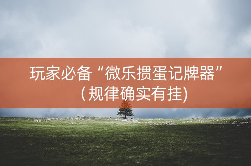 玩家必备“微乐掼蛋记牌器”（规律确实有挂)