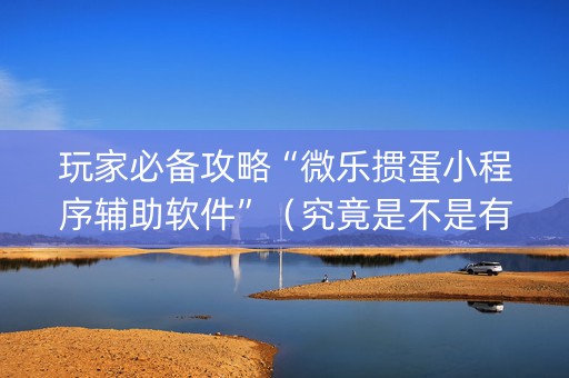 玩家必备攻略“微乐掼蛋小程序辅助软件”（究竟是不是有挂)