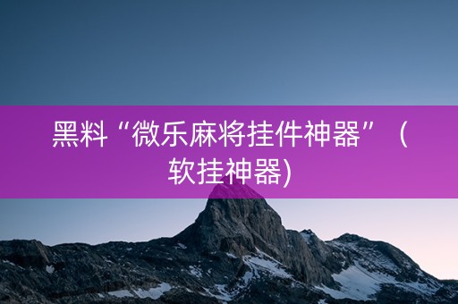 黑料“微乐麻将挂件神器”（软挂神器)