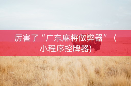 厉害了“广东麻将做弊器”（小程序控牌器)