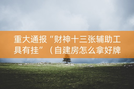 重大通报“财神十三张辅助工具有挂”（自建房怎么拿好牌)
