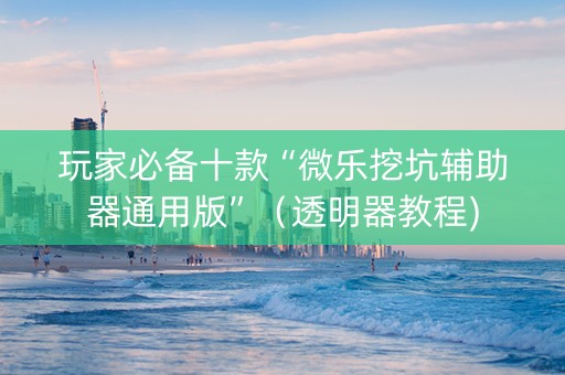 玩家必备十款“微乐挖坑辅助器通用版”（透明器教程)