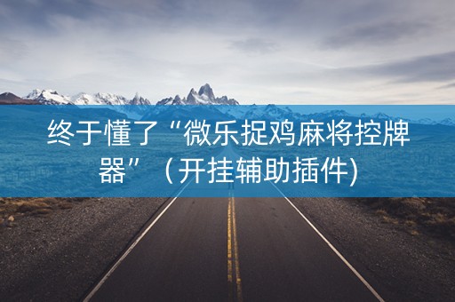 终于懂了“微乐捉鸡麻将控牌器”（开挂辅助插件)