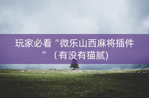 玩家必看“微乐山西麻将插件”（有没有猫腻)