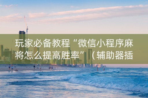 玩家必备教程“微信小程序麻将怎么提高胜率”（辅助器插件)