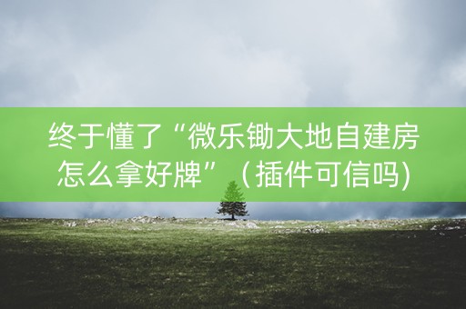 终于懂了“微乐锄大地自建房怎么拿好牌”（插件可信吗)