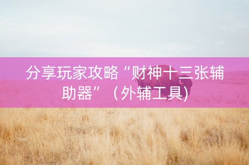 分享玩家攻略“财神十三张辅助器”（外辅工具)