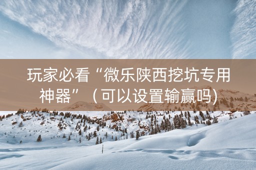 玩家必看“微乐陕西挖坑专用神器”（可以设置输赢吗)