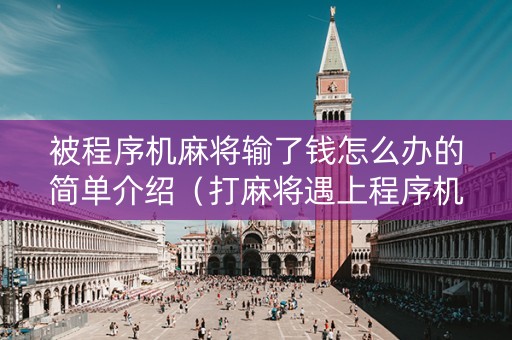 被程序机麻将输了钱怎么办的简单介绍（打麻将遇上程序机怎么为）