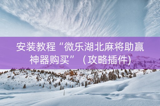 安装教程“微乐湖北麻将助赢神器购买”（攻略插件)