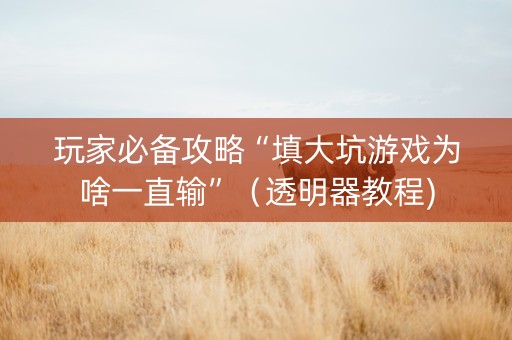玩家必备攻略“填大坑游戏为啥一直输”（透明器教程)
