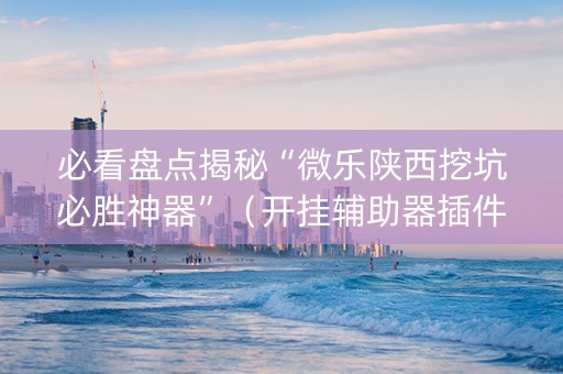 必看盘点揭秘“微乐陕西挖坑必胜神器”（开挂辅助器插件)