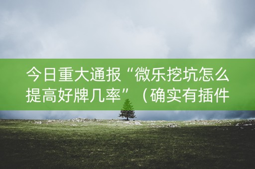 今日重大通报“微乐挖坑怎么提高好牌几率”（确实有插件吗)