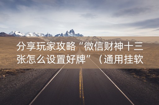 分享玩家攻略“微信财神十三张怎么设置好牌”（通用挂软件多少钱)