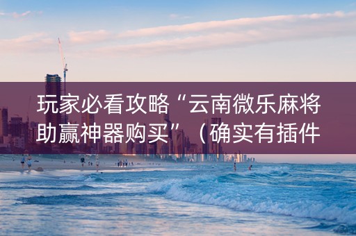玩家必看攻略“云南微乐麻将助赢神器购买”（确实有插件吗)