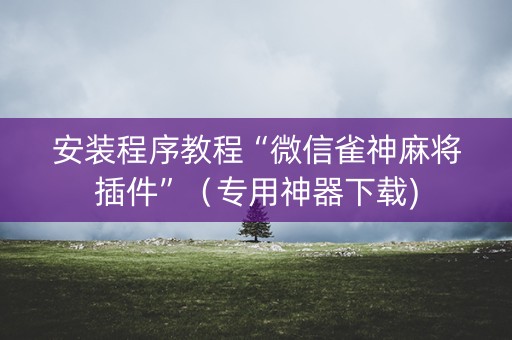 安装程序教程“微信雀神麻将插件”（专用神器下载)