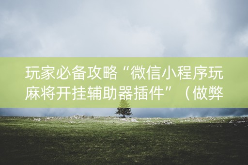 玩家必备攻略“微信小程序玩麻将开挂辅助器插件”（做弊器软件下载)