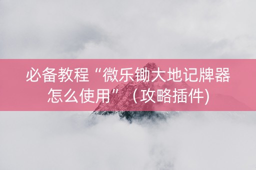 必备教程“微乐锄大地记牌器怎么使用”（攻略插件)