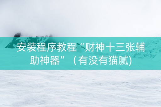安装程序教程“财神十三张辅助神器”（有没有猫腻)