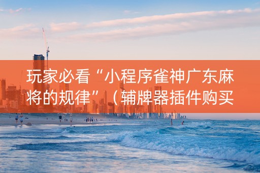 玩家必看“小程序雀神广东麻将的规律”（辅牌器插件购买)