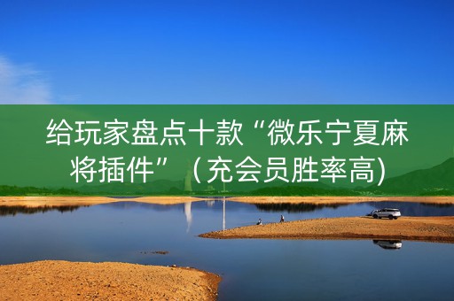 给玩家盘点十款“微乐宁夏麻将插件”（充会员胜率高)