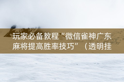 玩家必备教程“微信雀神广东麻将提高胜率技巧”（透明挂辅助器)