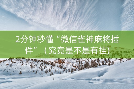 2分钟秒懂“微信雀神麻将插件”（究竟是不是有挂)
