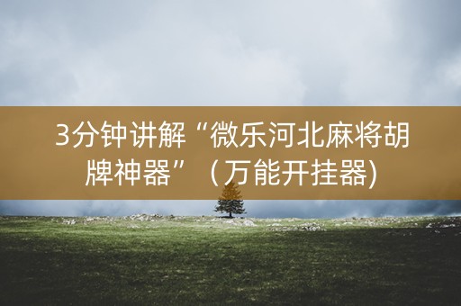 3分钟讲解“微乐河北麻将胡牌神器”（万能开挂器)