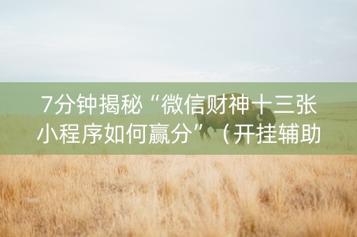 7分钟揭秘“微信财神十三张小程序如何赢分”（开挂辅助器脚本)