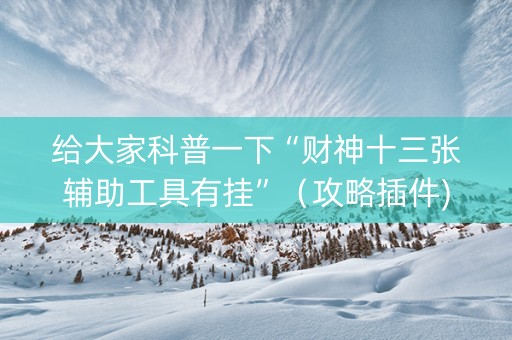 给大家科普一下“财神十三张辅助工具有挂”（攻略插件)