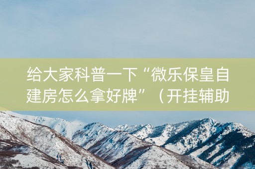 给大家科普一下“微乐保皇自建房怎么拿好牌”（开挂辅助插件)