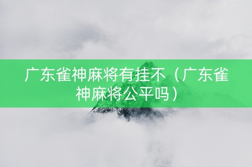 广东雀神麻将有挂不（广东雀神麻将公平吗）