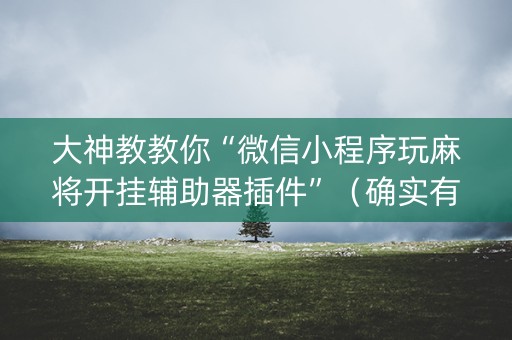 大神教教你“微信小程序玩麻将开挂辅助器插件”（确实有插件吗)