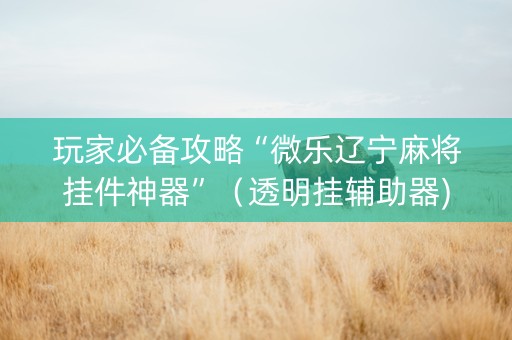 玩家必备攻略“微乐辽宁麻将挂件神器”（透明挂辅助器)