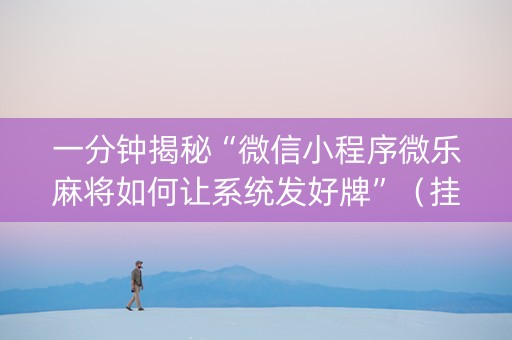 一分钟揭秘“微信小程序微乐麻将如何让系统发好牌”（挂件神器)