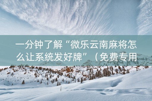 一分钟了解“微乐云南麻将怎么让系统发好牌”（免费专用神器)