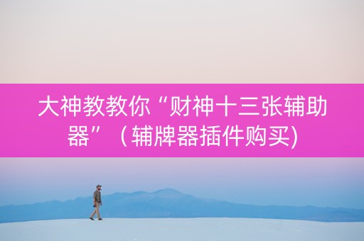 大神教教你“财神十三张辅助器”（辅牌器插件购买)
