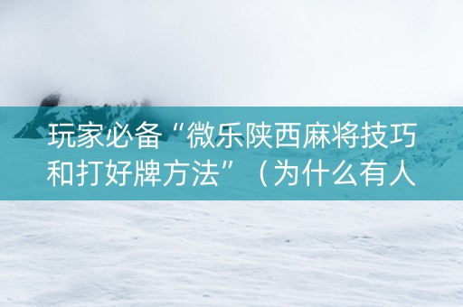 玩家必备“微乐陕西麻将技巧和打好牌方法”（为什么有人一直赢)